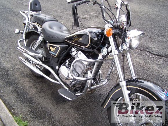 2003 Siamoto Geco 250 Custom photo